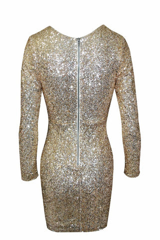 Totally Exposed Sequin Dress